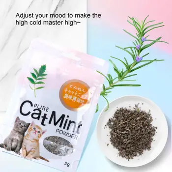 5g Cat мента естествени котешки консумативи Отглеждане на котки Инструменти Cat мента листа прах Почистване на зъбите Високо качество Отглеждане на котки Консумативи