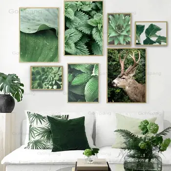 Тропическо растение стена изкуство платно живопис елен зелен лист сукуленти скандинавски плакати и отпечатъци стена снимки за хол декор